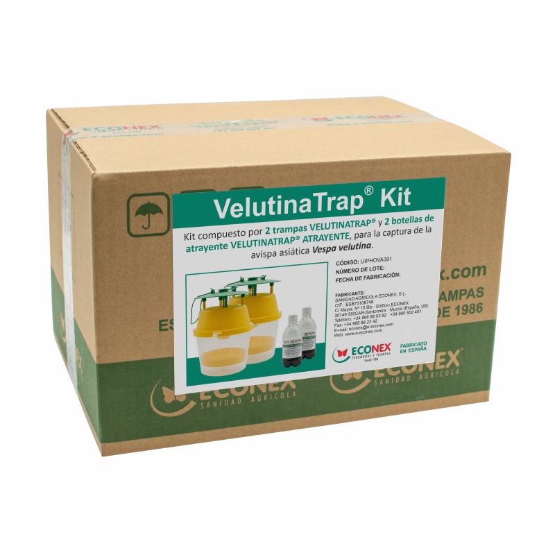 VelutinaTrap kit y atrayente